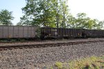 NS 10196